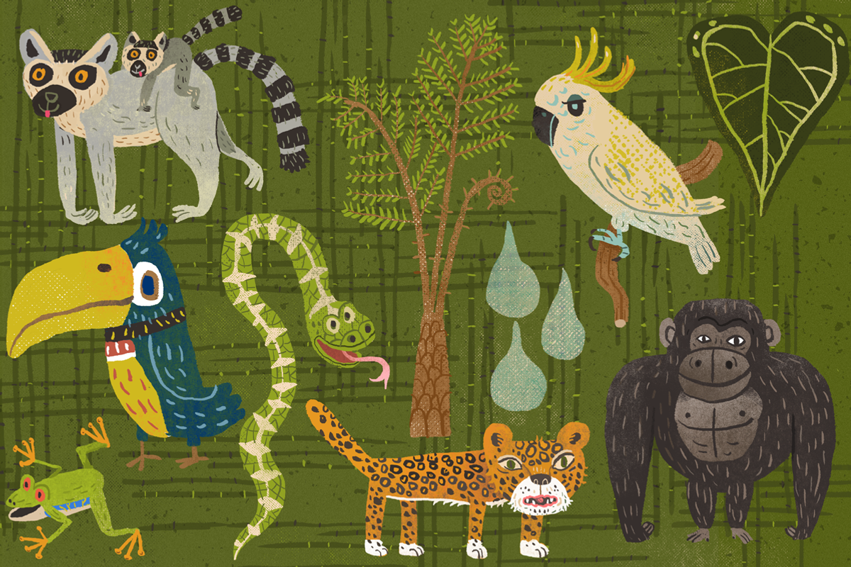 21 Rainforest Creatures & Plants, an Animal Illustration by Stephanie K. Birdsong (Photo 2 of 4)