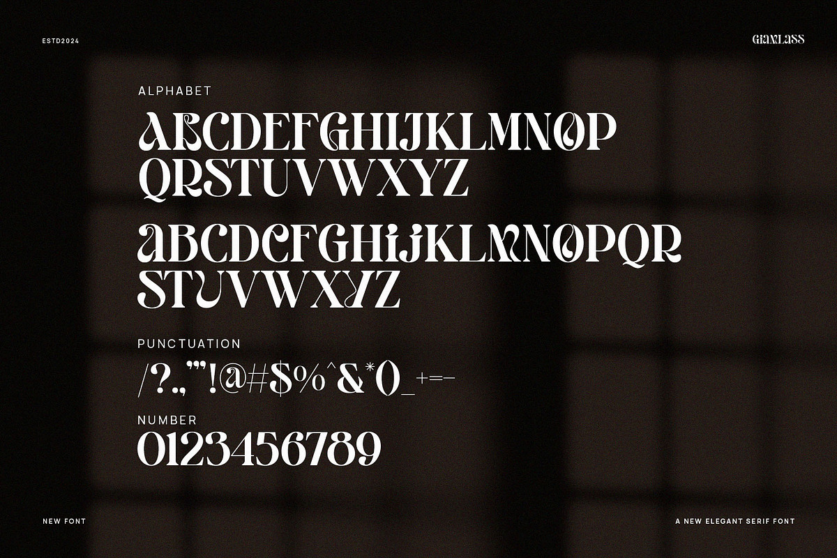 Giamlass - Unique Display Serif, a Serif Font by BrandSemut (Photo 14 of 16)