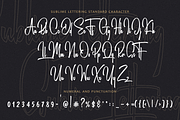 Sublime Lettering Font, a Script Font by RedyStudio (Thumbnail 16 of 18)