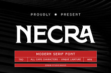 Necra - Modern Serif
