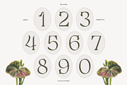 Selukar - Vintage Display Serif Font, a Serif Font by Artflorara (Thumbnail 11 of 15)