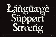 Stoner TM – Distressed Dynamic Font, a Serif Font by Type Mania (Thumbnail 10 of 11)
