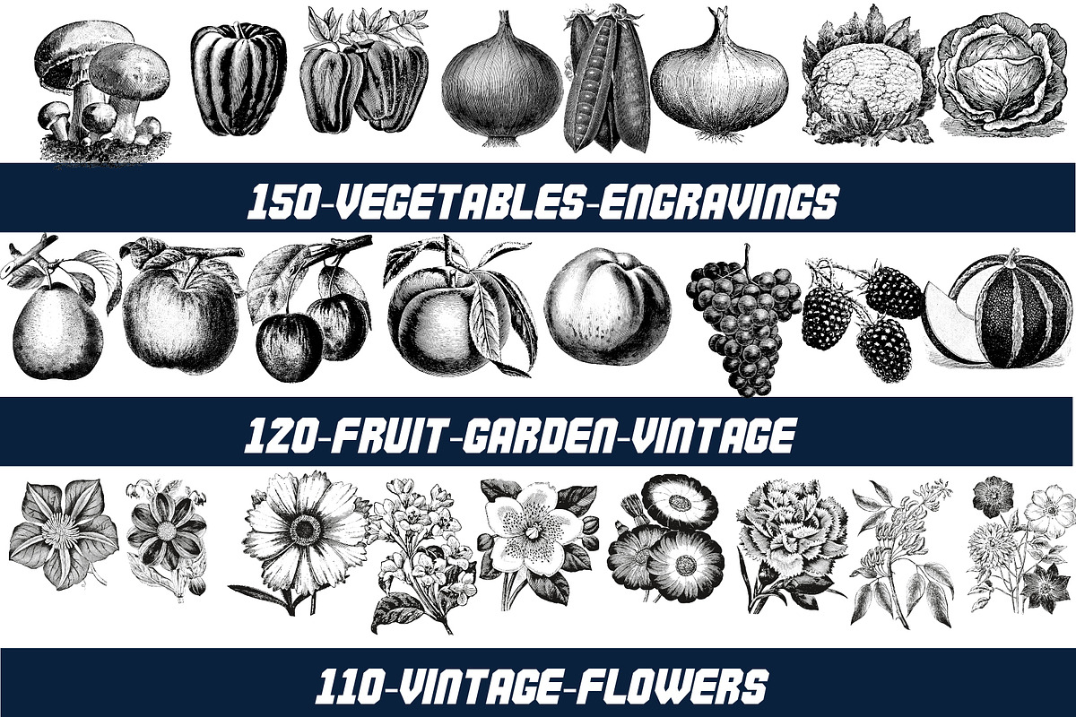 1800+ Vector Illustration Bundle, an Illustration by Chipshpow Graphics (Photo 4 of 11)