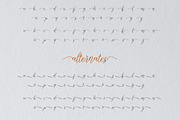 SweetyDust Handwritten Script Font, a Handwritten Font by UX Dummy (Thumbnail 8 of 9)