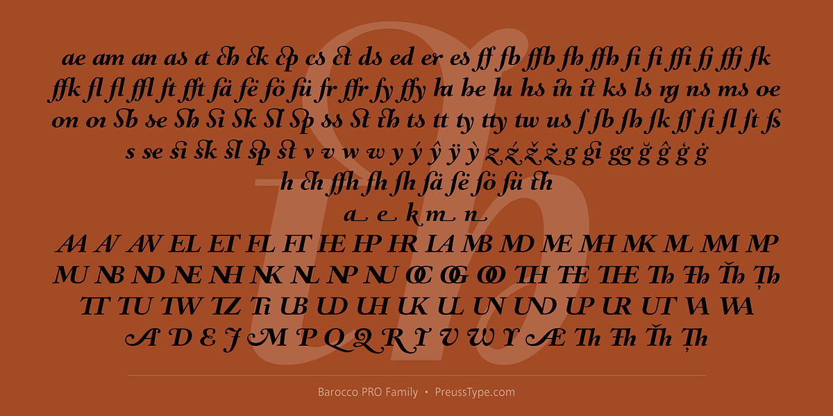 Barocco PRO, a Serif Font by preussTYPE (Photo 6 of 12)