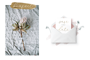 Bluebells Script, a Script Font by Susan Brand Design (Thumbnail 2 of 9)