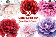 Watercolor Carnation Flower Clipart, an Illustration by Dream Creation (Thumbnail 1 of 6)