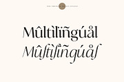 Analogue - Stylish Modern font, a Serif Font by Tropical Type (Thumbnail 12 of 13)