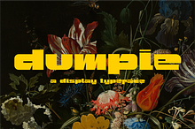 Dumpie Typeface