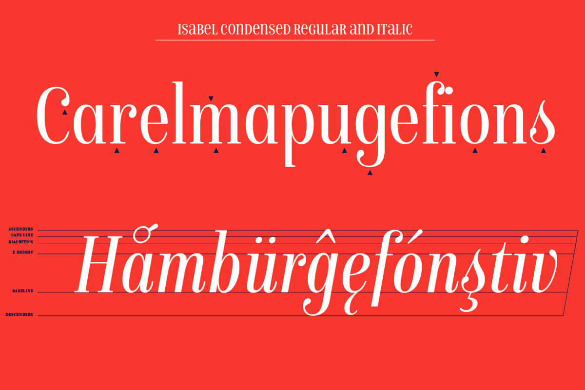 Isabel condensed preview 7