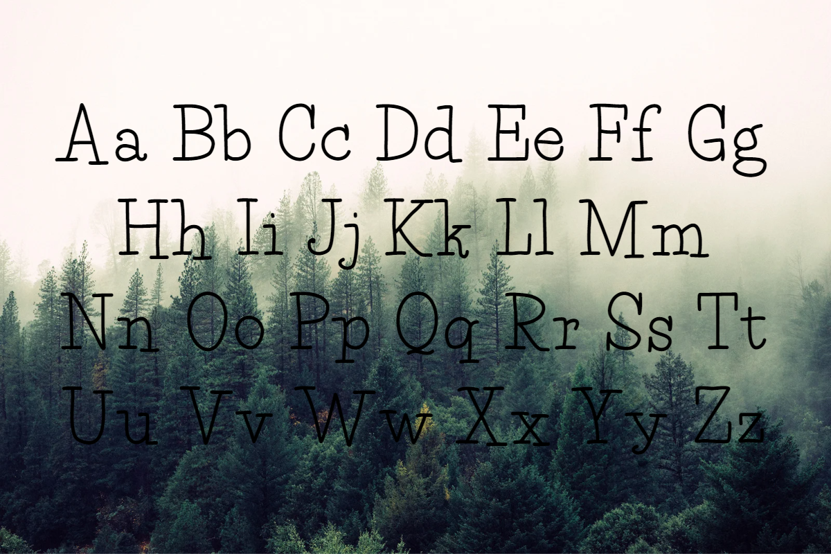 Pine Tall serif font, a Serif Font by TNE Designs (Photo 2 of 5)