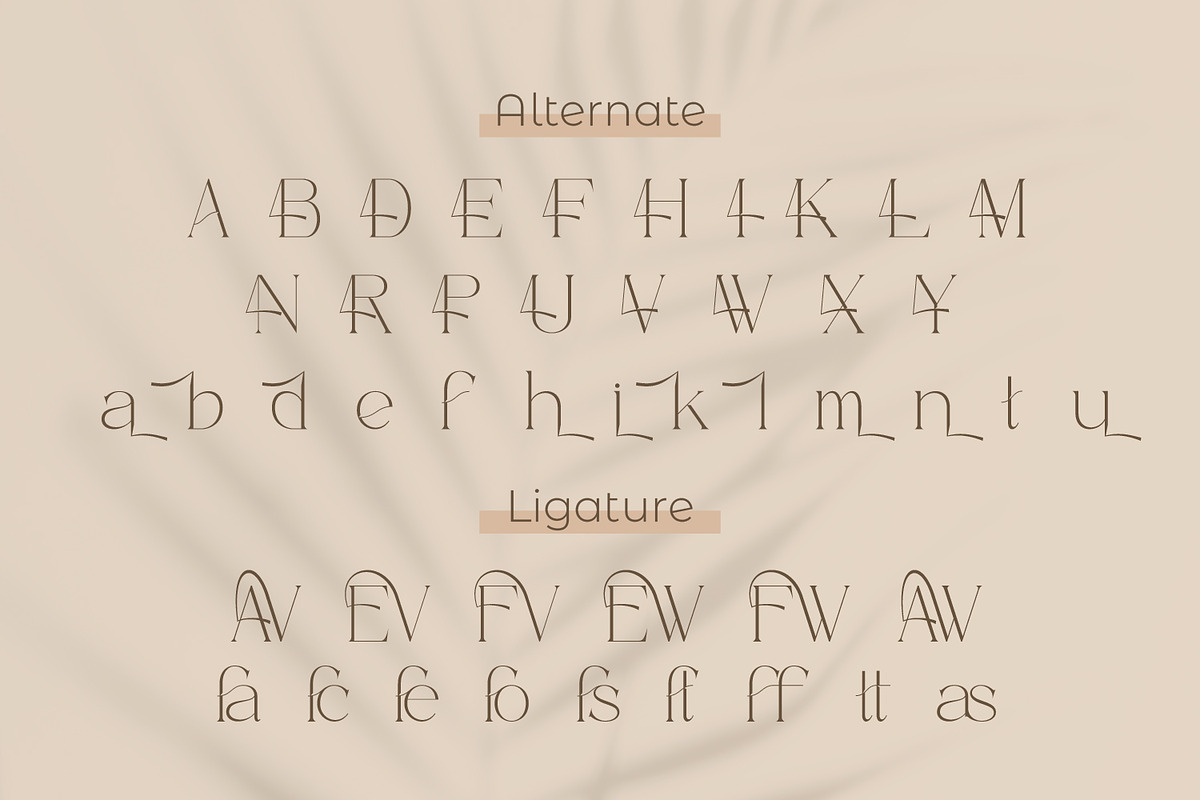 Effectas, a Serif Font by Rishsketch (Photo 10 of 13)