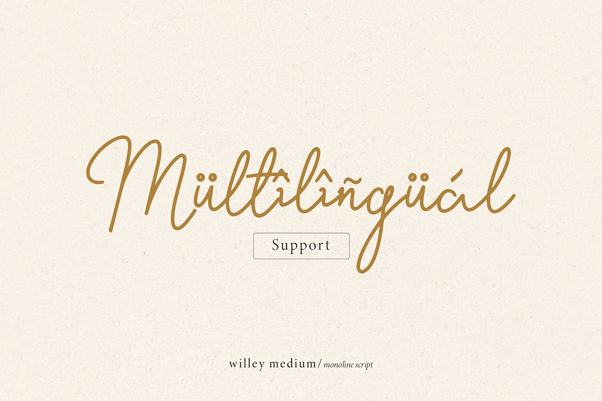 Willey Medium | Monoline Script Font, a Script Font by Denustudios (Photo 15 of 16)