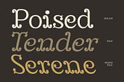 CS Monroe – Tuscan Font, a Serif Font by Craft Supply Co. (Thumbnail 4 of 8)