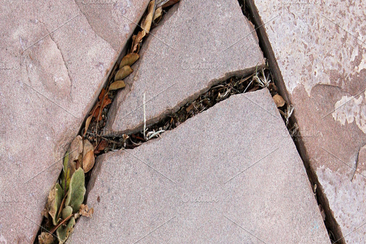 Alphabet Photography Letter A, a Nature Photo by Artistic Letters (Photo 7 of 7)