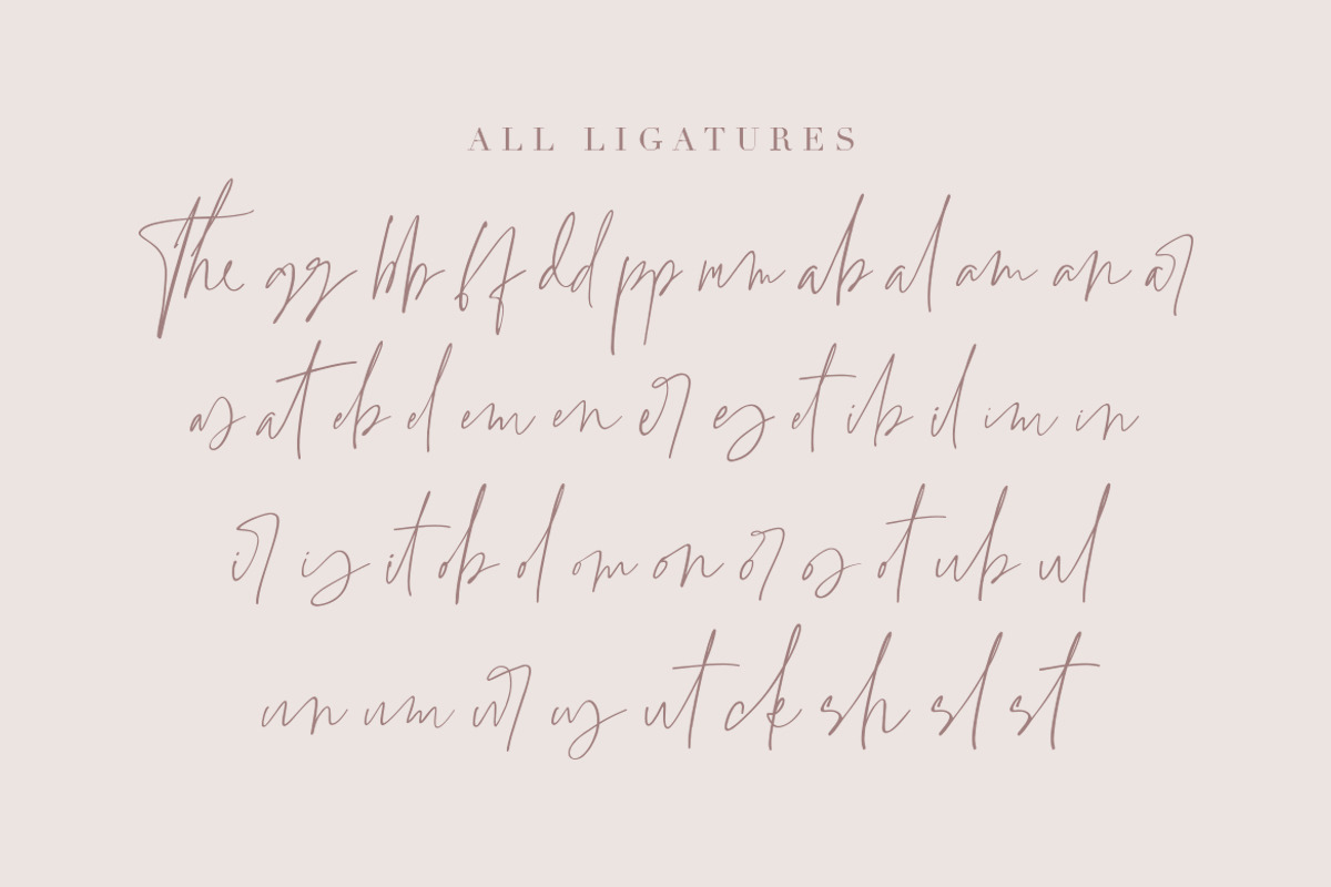 Grandiose - Stylish Signature Font, a Script Font by Dharmas Foundry (Photo 10 of 11)