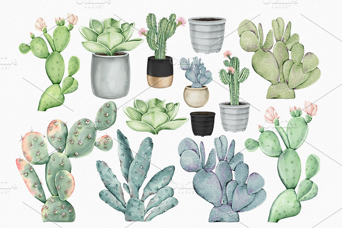 Watercolor Cactus PNG Clipart Set, an Illustration by MiracleArtAndDesign (Photo 2 of 4)