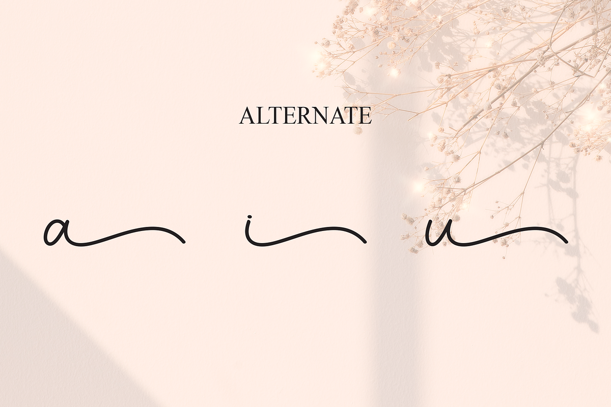 Adelya | Script Font, a Handwritten Font by Scratchones (Photo 8 of 9)