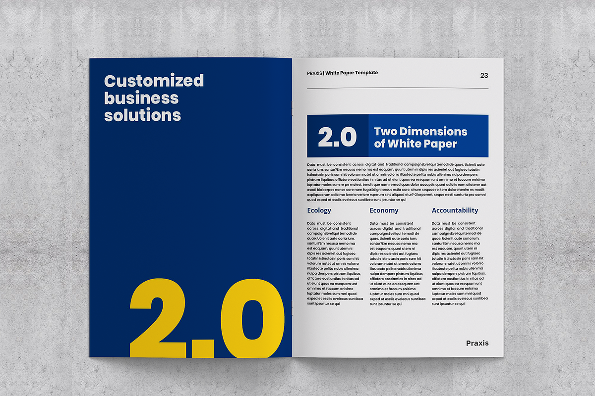 White Paper Template, a Brochure Template by azadcsstune (Photo 13 of 15)