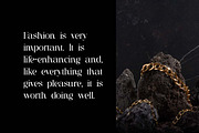 Brigton Newport Serif Font, a Serif Font by UICreative (Thumbnail 12 of 13)