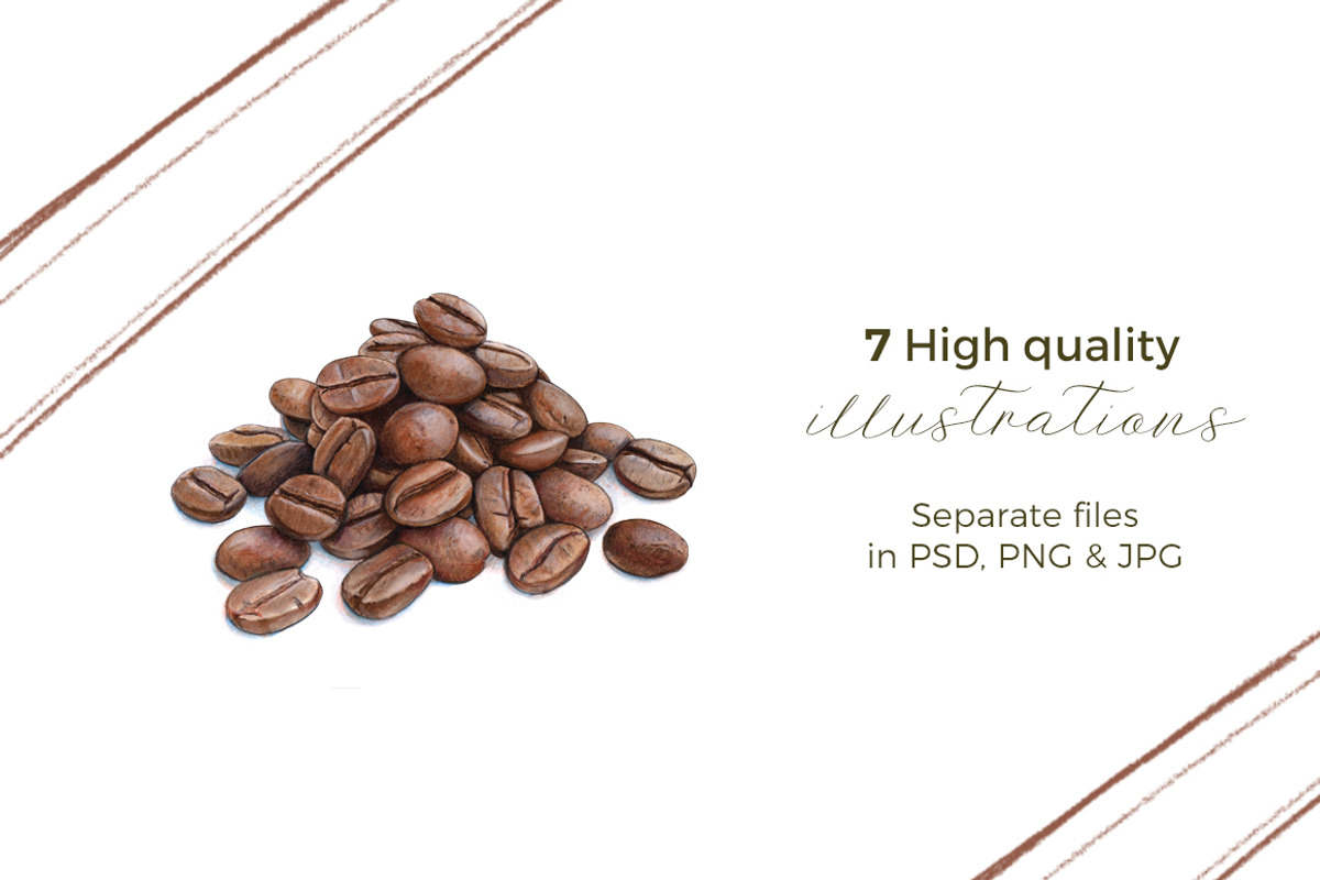 Coffee Beans & Nuts | 7 Cliparts, a Food Illustration by Miriam Figueras (Photo 2 of 4)