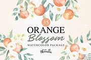 Orange Blossom 35 Watercolor Package, an Object Graphic by Bloomella (Thumbnail 1 of 6)
