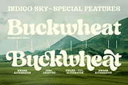 Indigo Sky - Retro Serif, a Serif Font by Fenotype (Thumbnail 4 of 15)