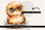 Grumpy Bird in Nest PNG Clipart, an Animal Illustration by Geniecreativestudio (Thumbnail 2 of 9)