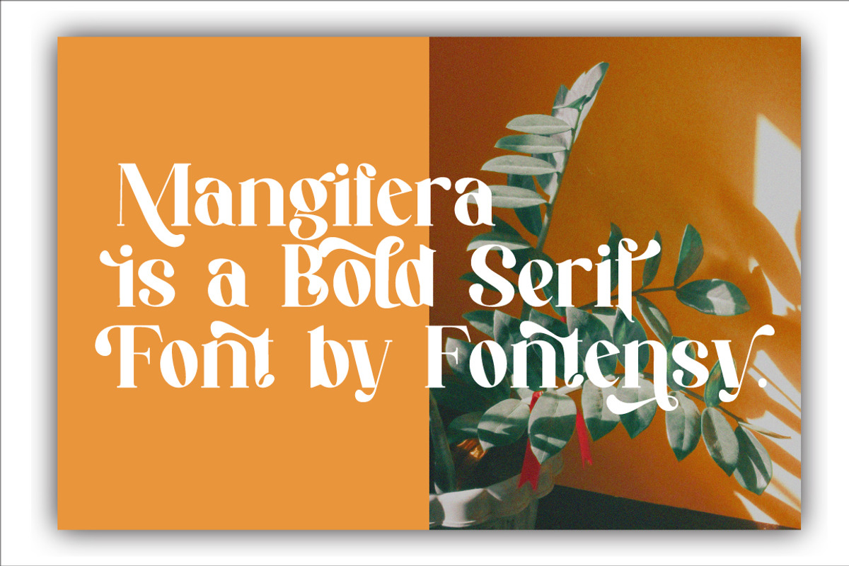 Mangifera Serif Eegant, a Serif Font by Cut Story (Photo 3 of 12)
