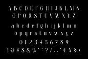 Bralgine A Modern Ligature Serif, a Serif Font by Alfinart (Thumbnail 6 of 10)