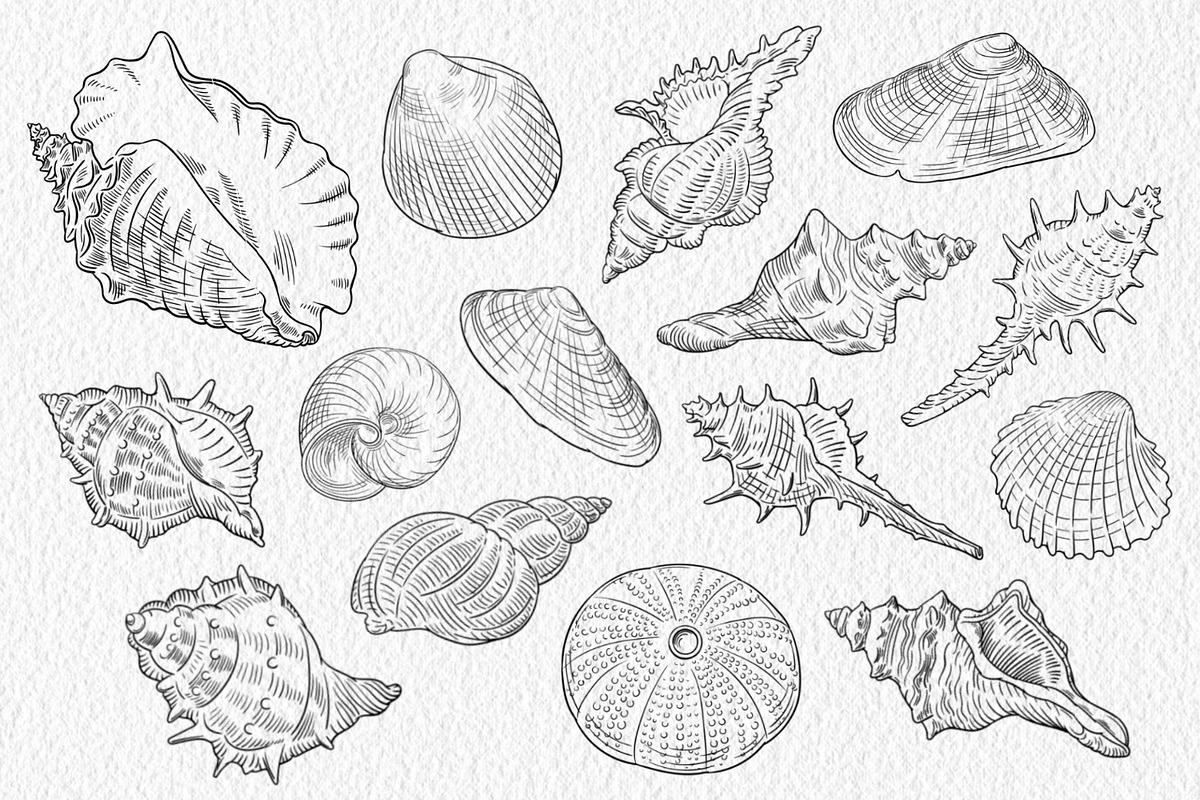 Sea life Procreate Stamp brushes, a Brush Add-On by ViktoriArt