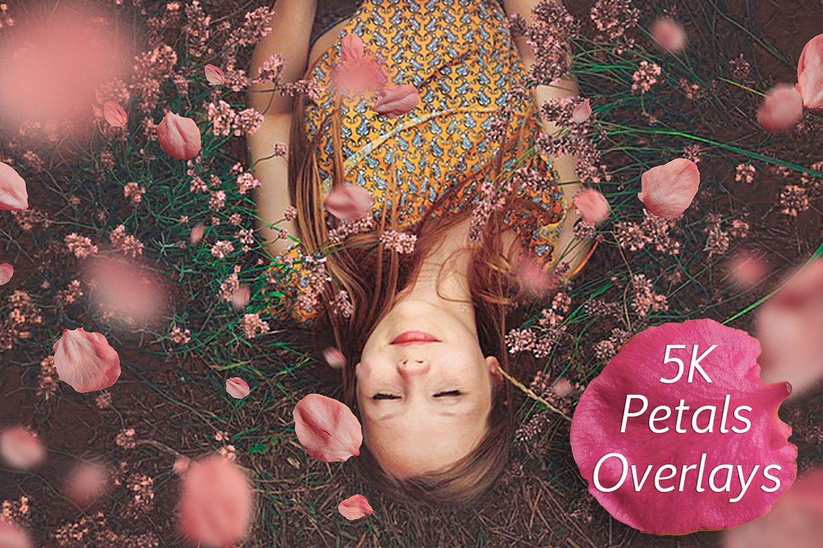 5K Petals Overlays, an Object Graphic by ArtPlanet (Photo 1 of 12)
