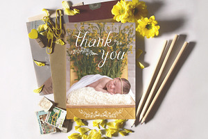 Newborn Thank You Sleeping Beauty