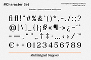 Family Luxury Serif Font - Quinela, a Serif Font by Say Studio (Thumbnail 12 of 12)