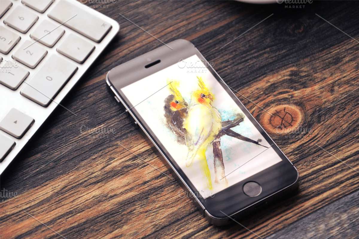 Watercolor illustration with bird, an Animal Illustration by Vavavka (Photo 3 of 5)