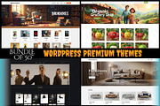 WordPress WooCommerce Themes 50+, a WordPress Template by Crox Studio | Digital (Thumbnail 1 of 35)