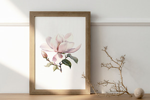 Watercolor Magnolia Patterns