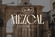 Fragilità - A Retro Ligature Serif, a Serif Font by SilverStag Type Foundry (Thumbnail 22 of 26)