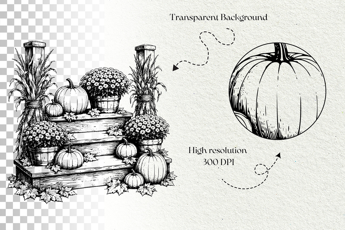 Pumpkin Harvest Line Art Graphics, a Seasonal Illustration by DENIDigitalArtSudio (Photo 6 of 6)