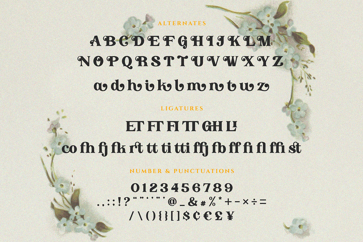 Angon - Retro Serif Font, a Serif Font by epicatype (Photo 10 of 10)
