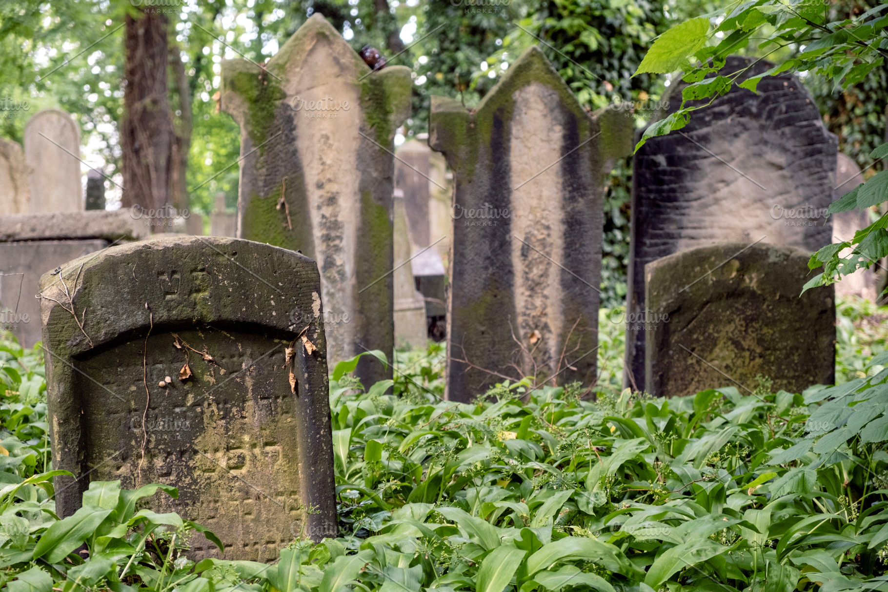 Old abandoned jewish cemetery, an Architecture Photo by BOOCYS
