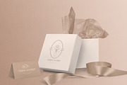 Pre-made Logo Template + Packaging, a Branding & Logo Template by Olya Creative (Thumbnail 9 of 10)