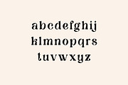 Brainstorm Retro Serif Display Font, a Serif Font by UICreative (Thumbnail 7 of 13)
