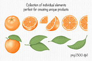 Orange, a Decorative Illustration by Iryna Mel (Thumbnail 3 of 8)