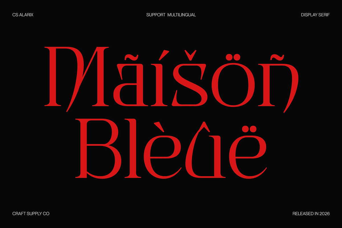 CS Alarix – Serif Display Font, a Serif Font by Craft Supply Co. (Photo 7 of 8)