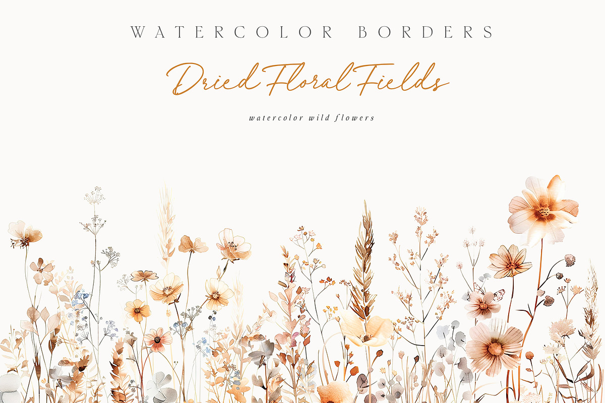 New! Wild Flowers Edition, a Seasonal Illustration by Isabelle Salem (Photo 64 of 155)