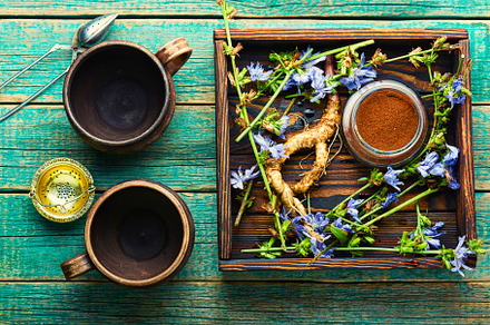 Chicory in herbal medicine, a Food & Drink Photo by MLunov MLunov
