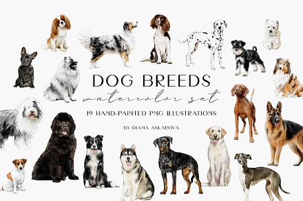 Dog breed clipart illustration set, an Animal Illustration by Diana Askarova Art