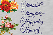 Blodeyn, a Script Font by danti (Thumbnail 6 of 7)