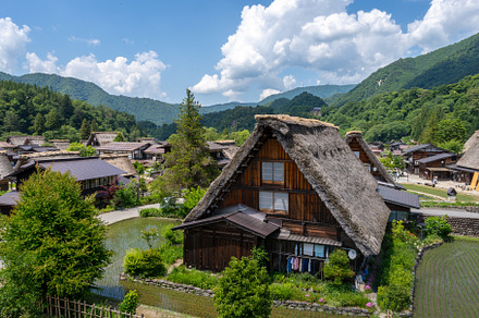 Traditional houses and rice fields in Shirakawa-go, rural Japan, an Architecture Photo by GoodGoods